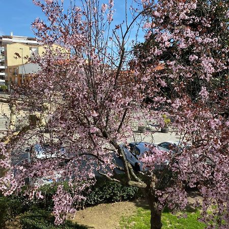 Apartamento Dacosta Plasencia Eksteriør billede
