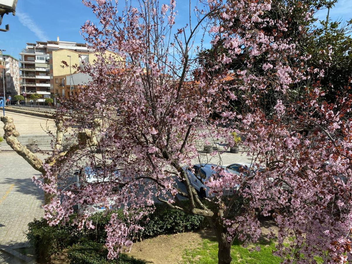 Apartamento Dacosta Plasencia Eksteriør billede